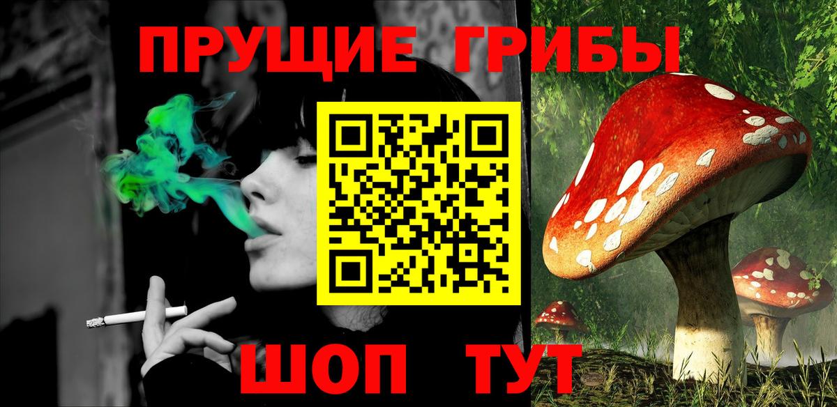 Псилоцибиновые грибы GOLDEN TEACHER Осинники